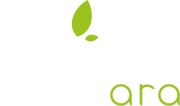 logo Foodara